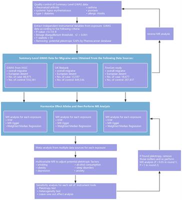 Genetic causal relationship between immune diseases and migraine: a Mendelian randomization study